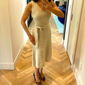 Ann Taylor petite sparkly midi dress NWT